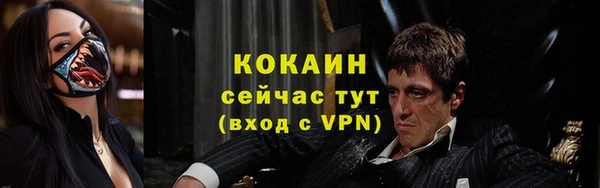 бошки Аркадак
