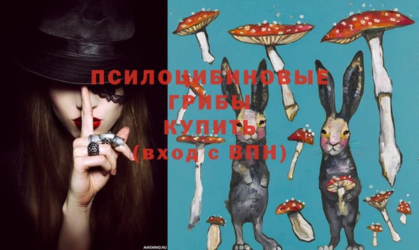 круглые Арсеньев