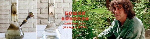 бошки Аркадак