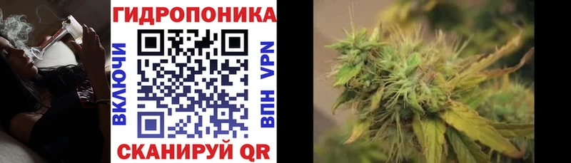 Купить закладки  Усть-Катав  Бошки марихуана SATIVA & INDICA 